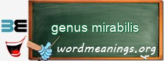 WordMeaning blackboard for genus mirabilis